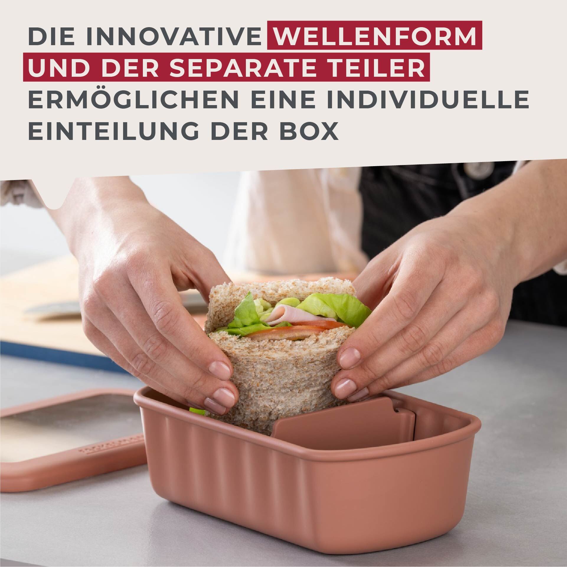 Flexibox Be The Move, rostrot, 1000ml, 3-tlg.