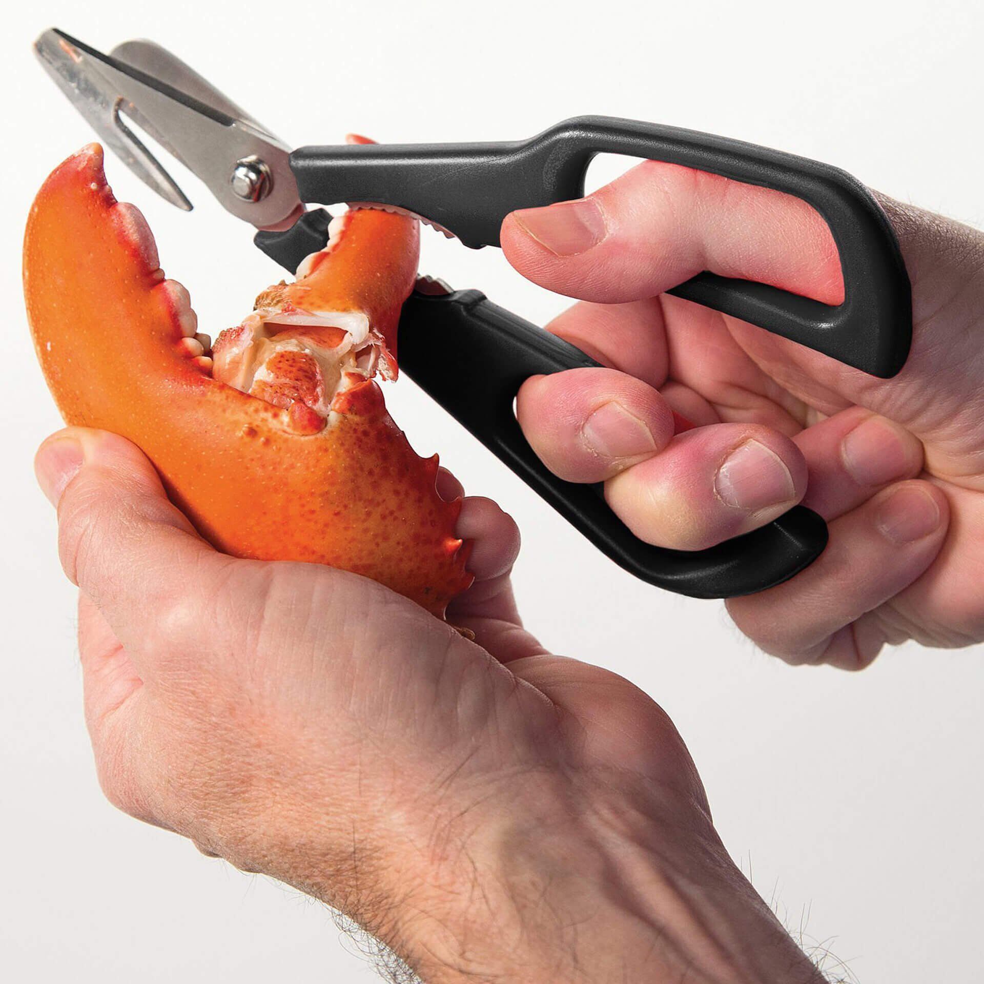 Schalentierschere, Edelstahl