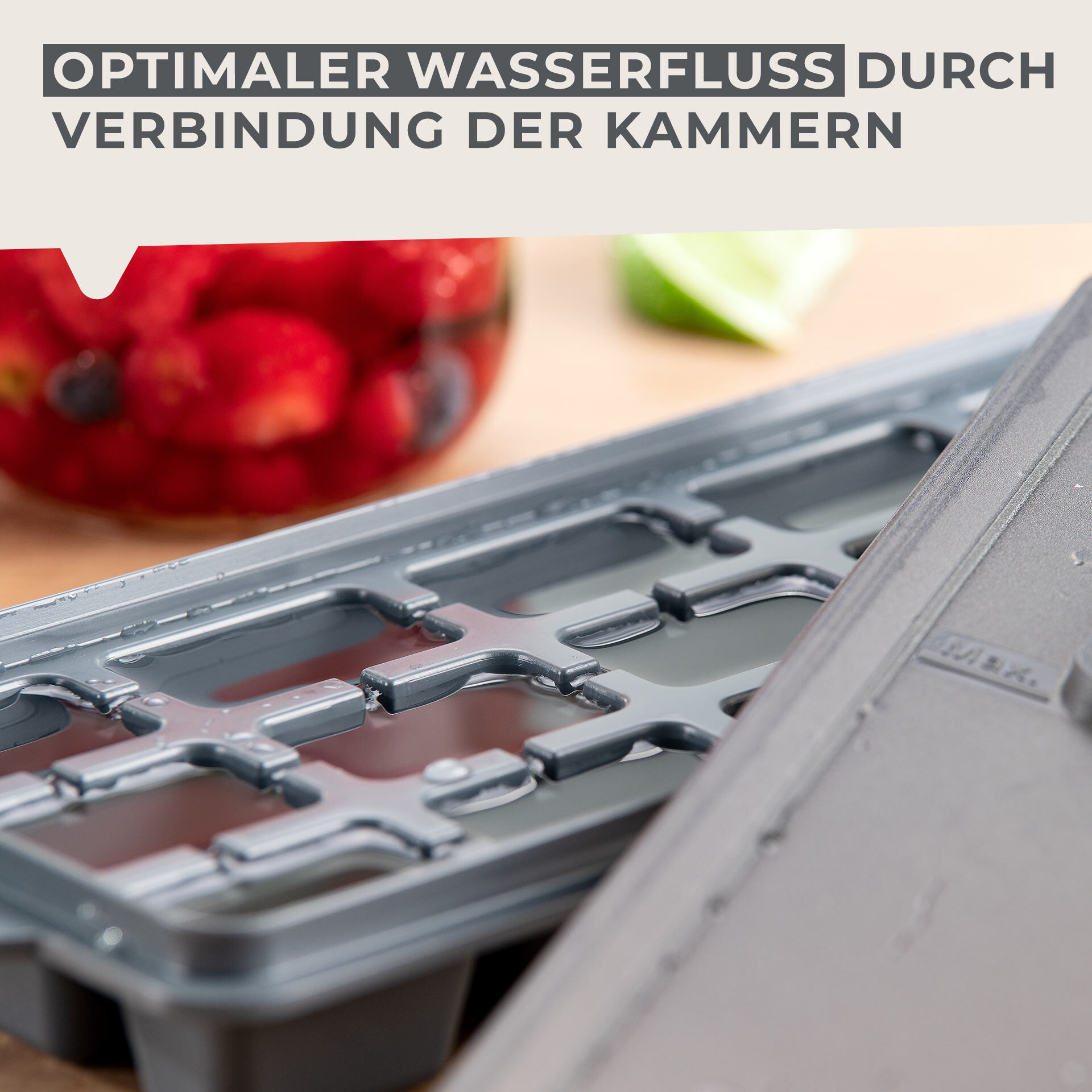 Eiswürfelform mit Deckel Statement