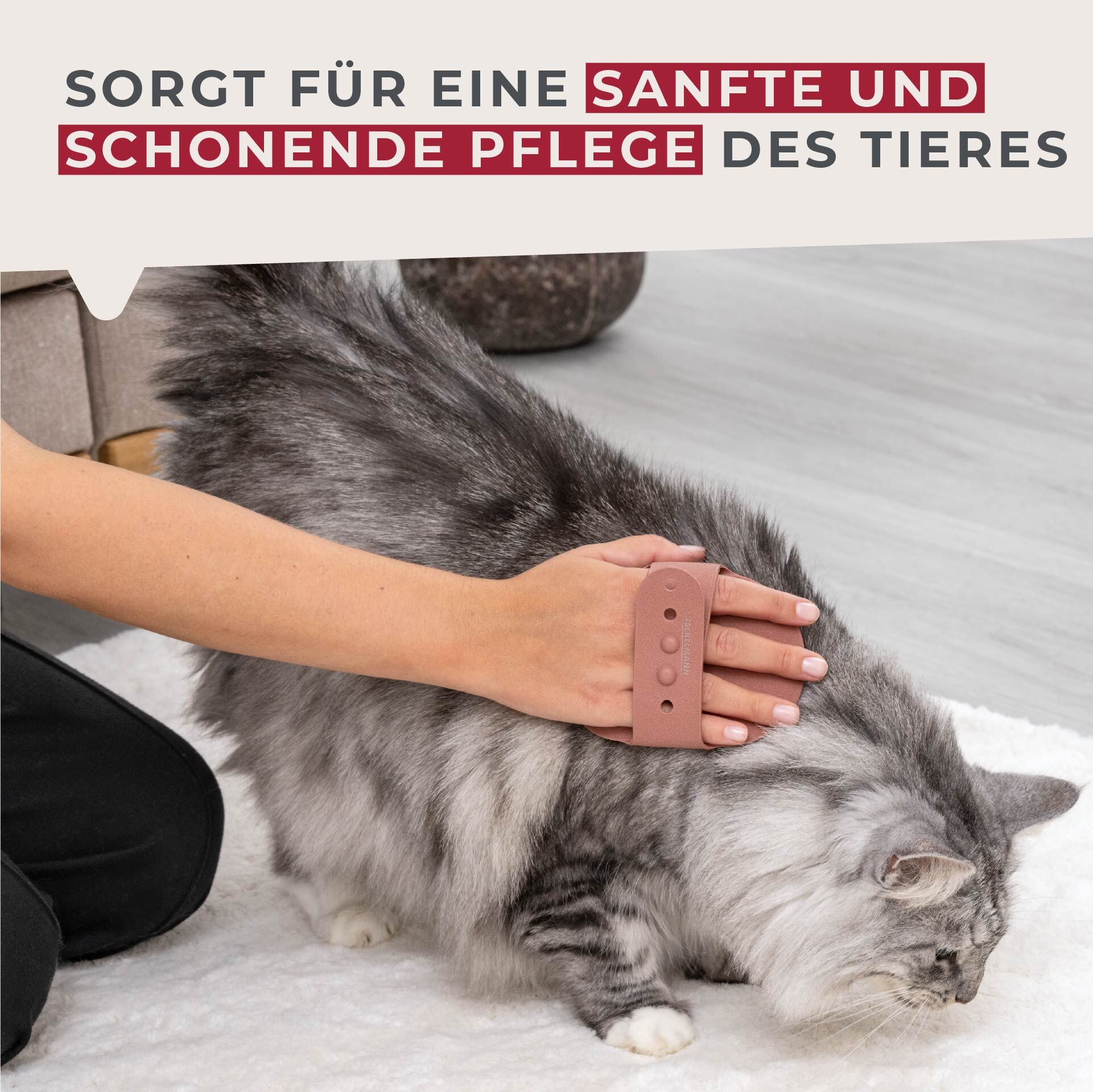 Massagebürste Our Pets