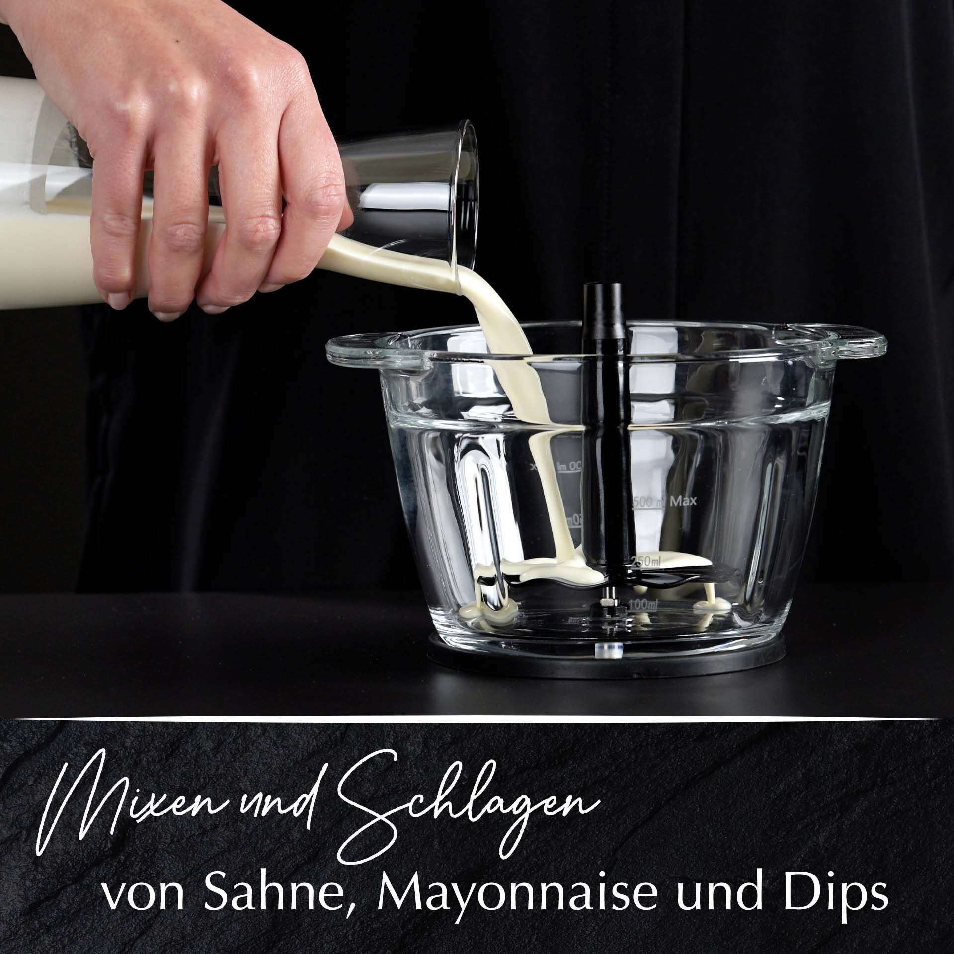 Multi-Zerkleinerer elektrisch, Glas, 1L, 500W