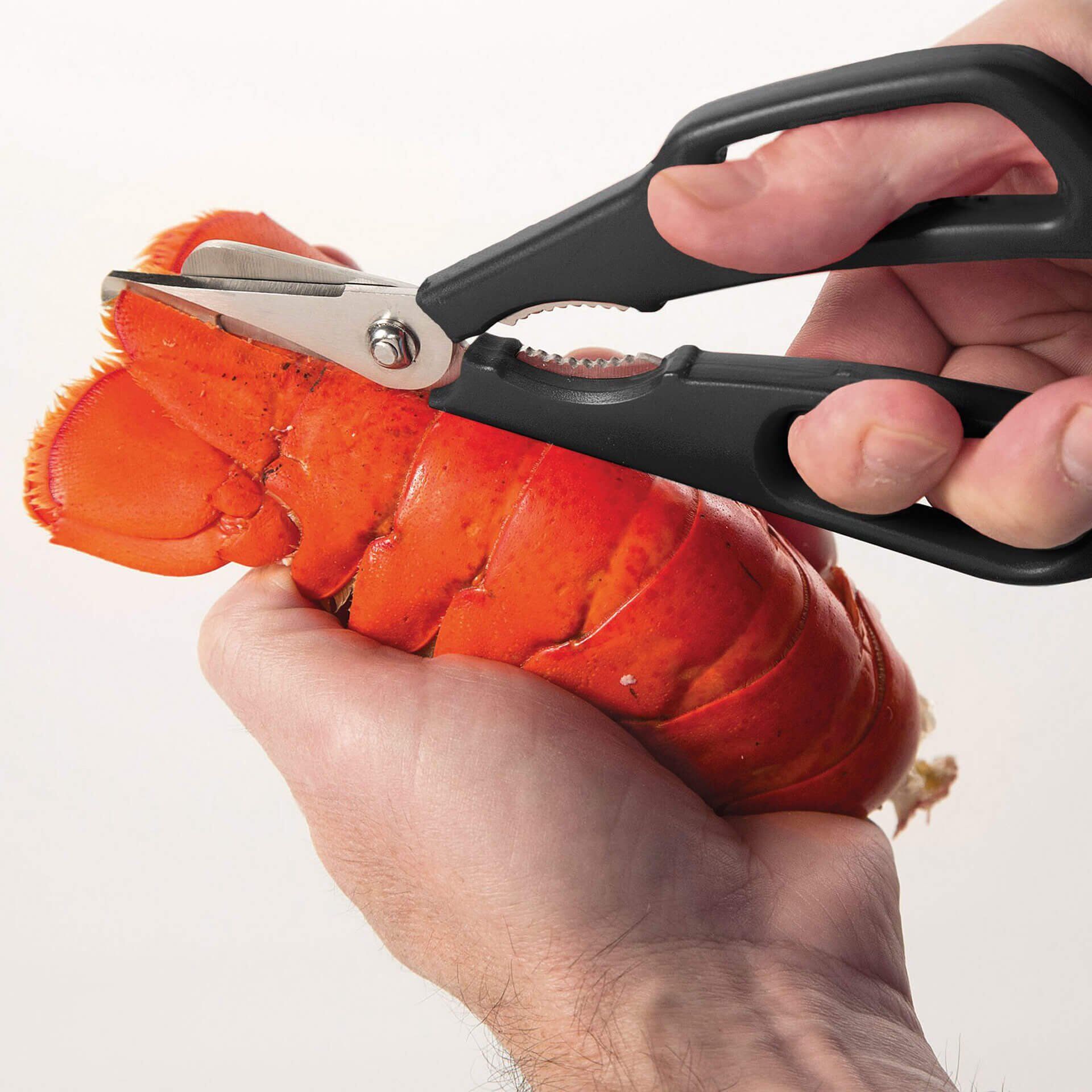 Schalentierschere, Edelstahl