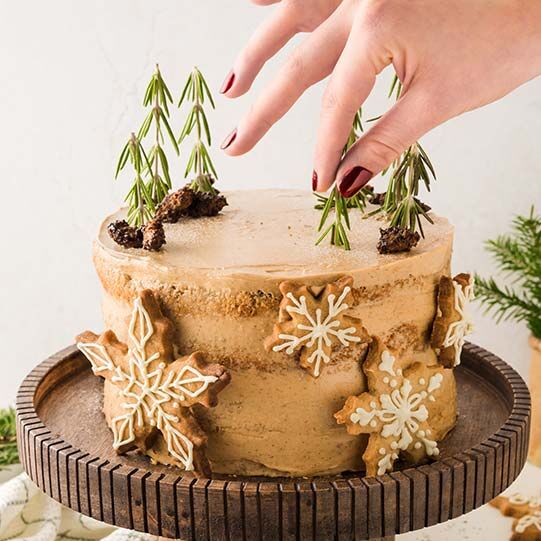 Winter Semi Naked Cake Einfach Lecker Rezept Fackelmann