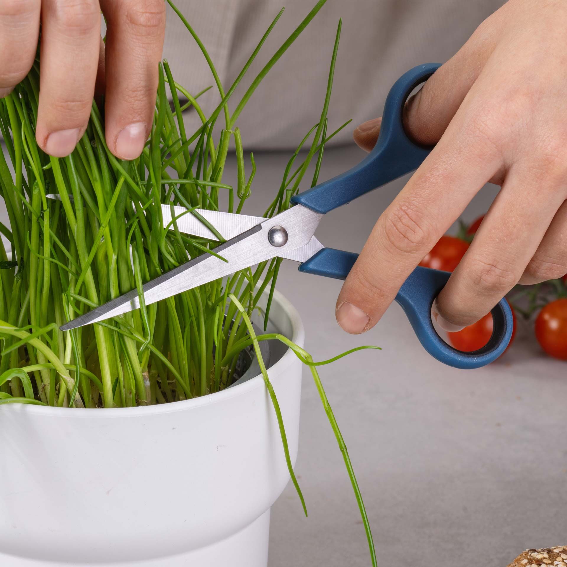 Schere Essential, 17cm, blau