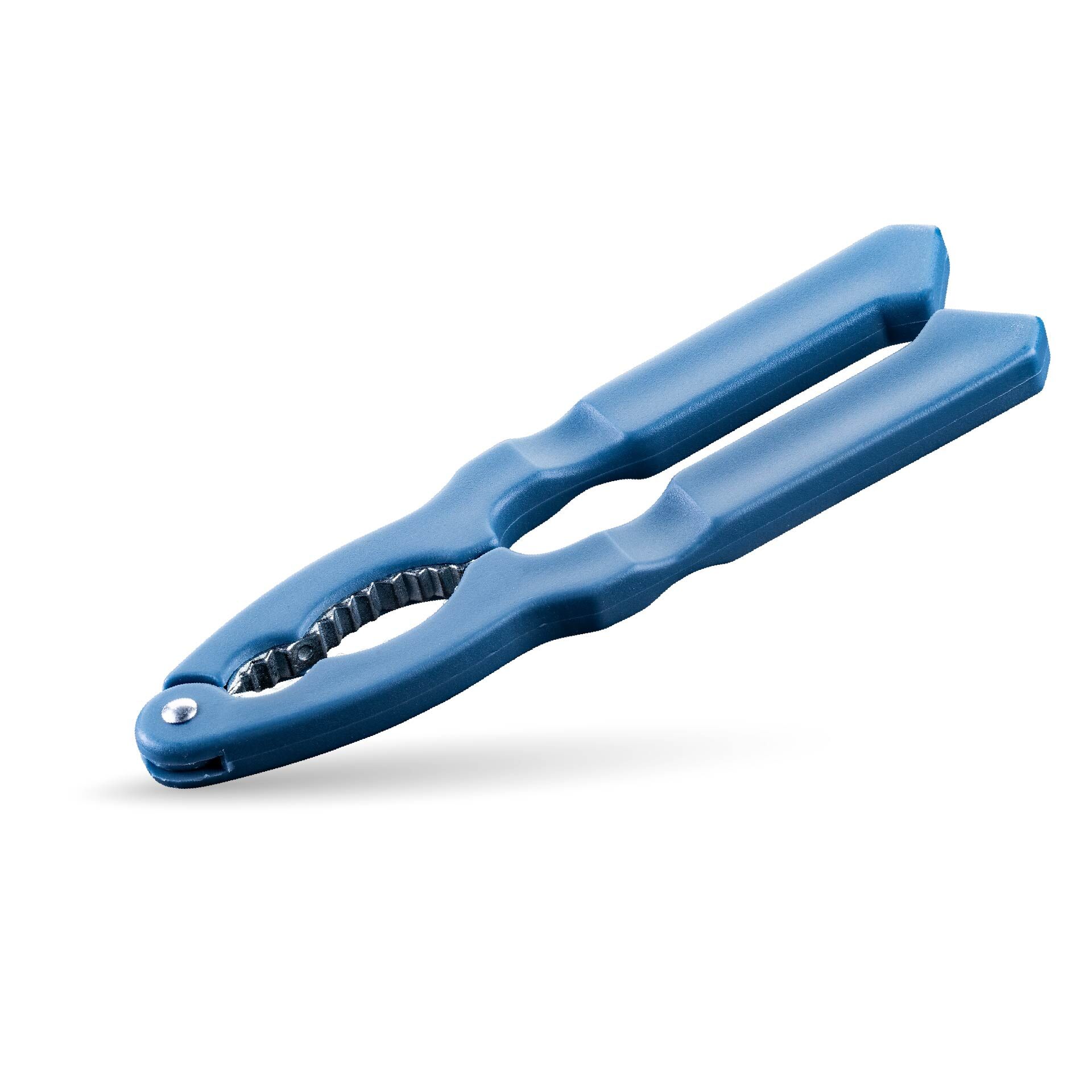 Nussknacker Essential, blau