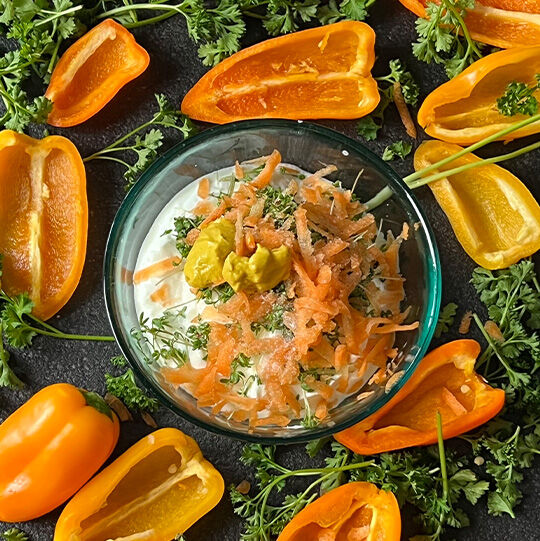 Leckere Frischkäse-Paprika | Fackelmann
