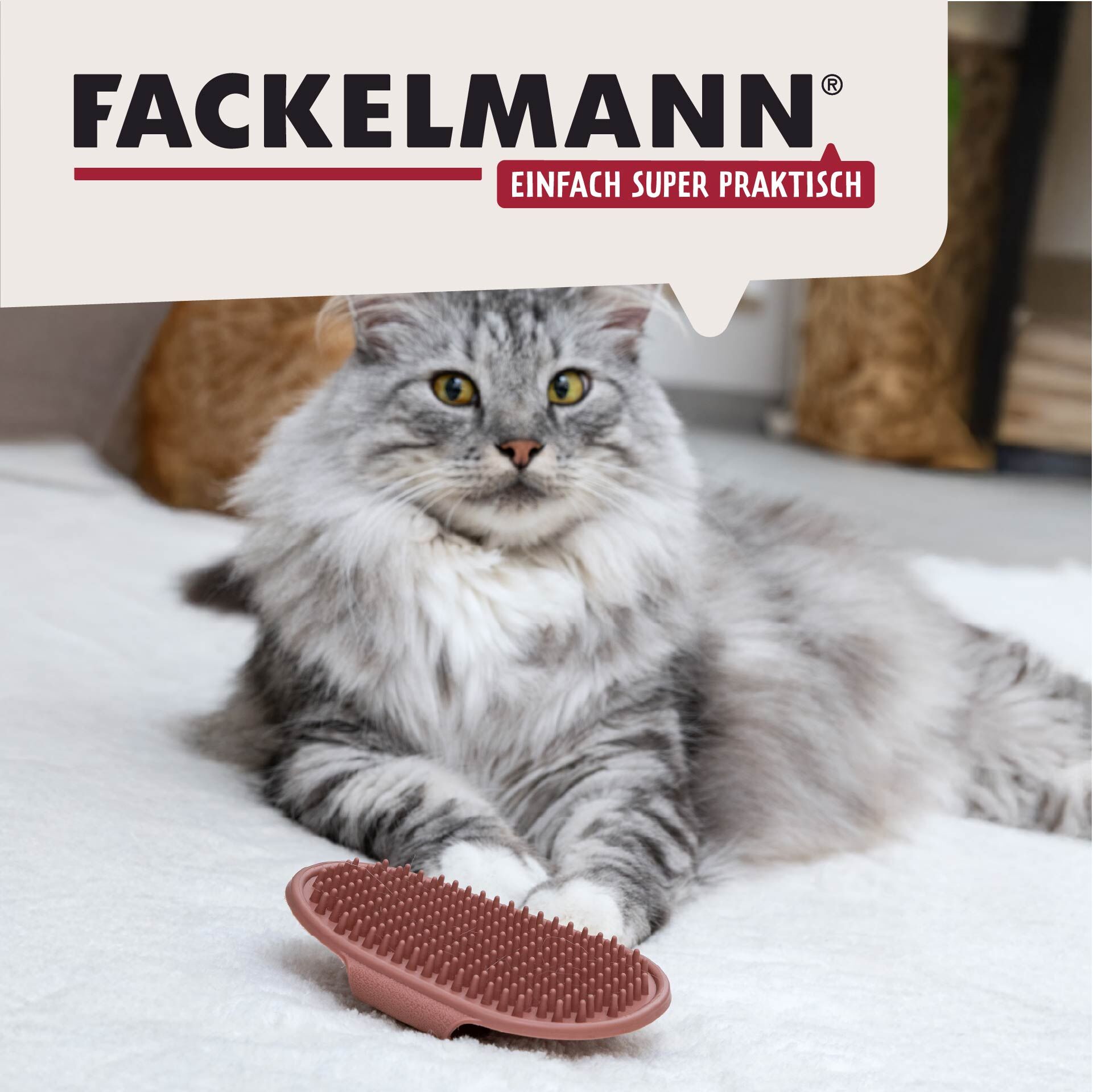 Massagebürste Our Pets