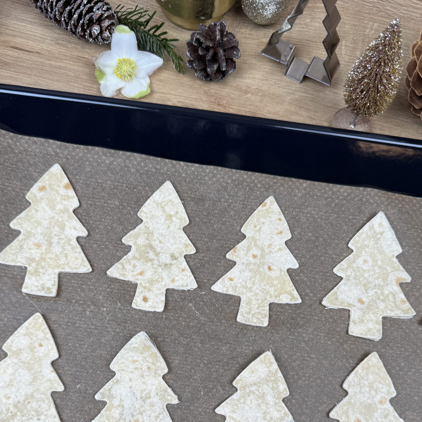 Avocado-Tannenbäume