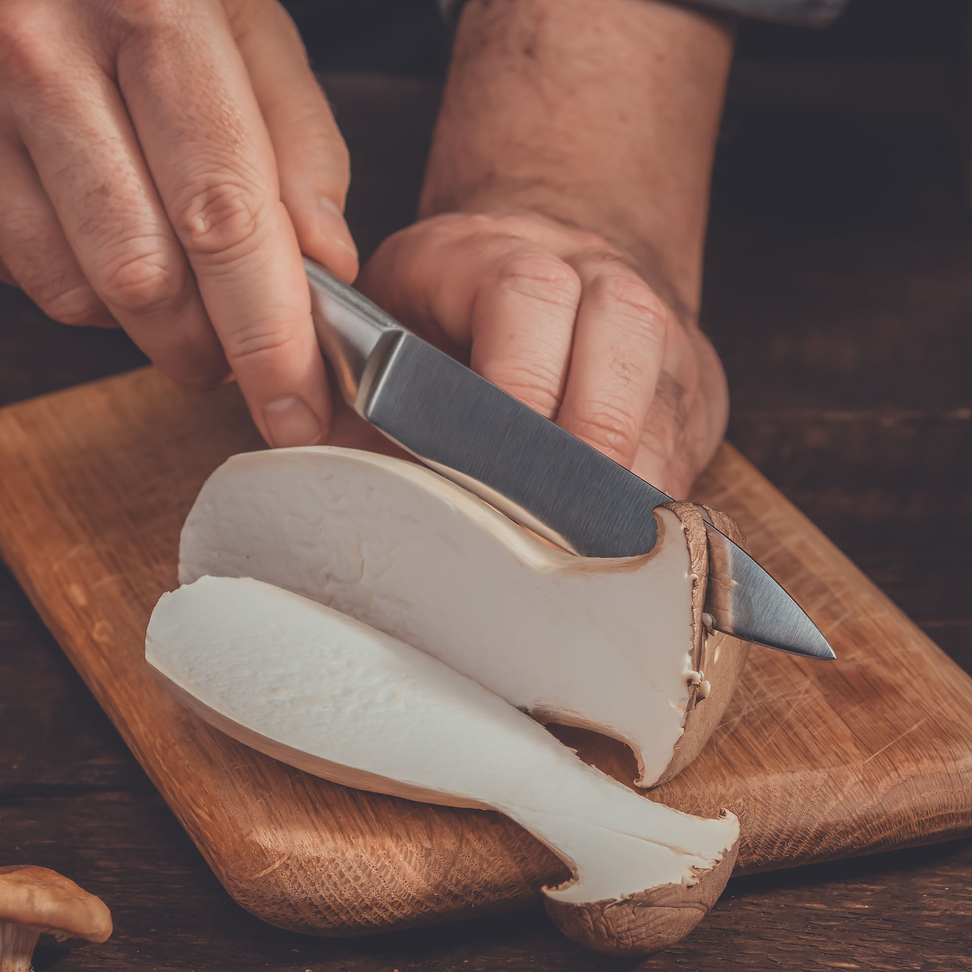 Universalmesser Star, 12,5 cm Edelstahl-Klinge