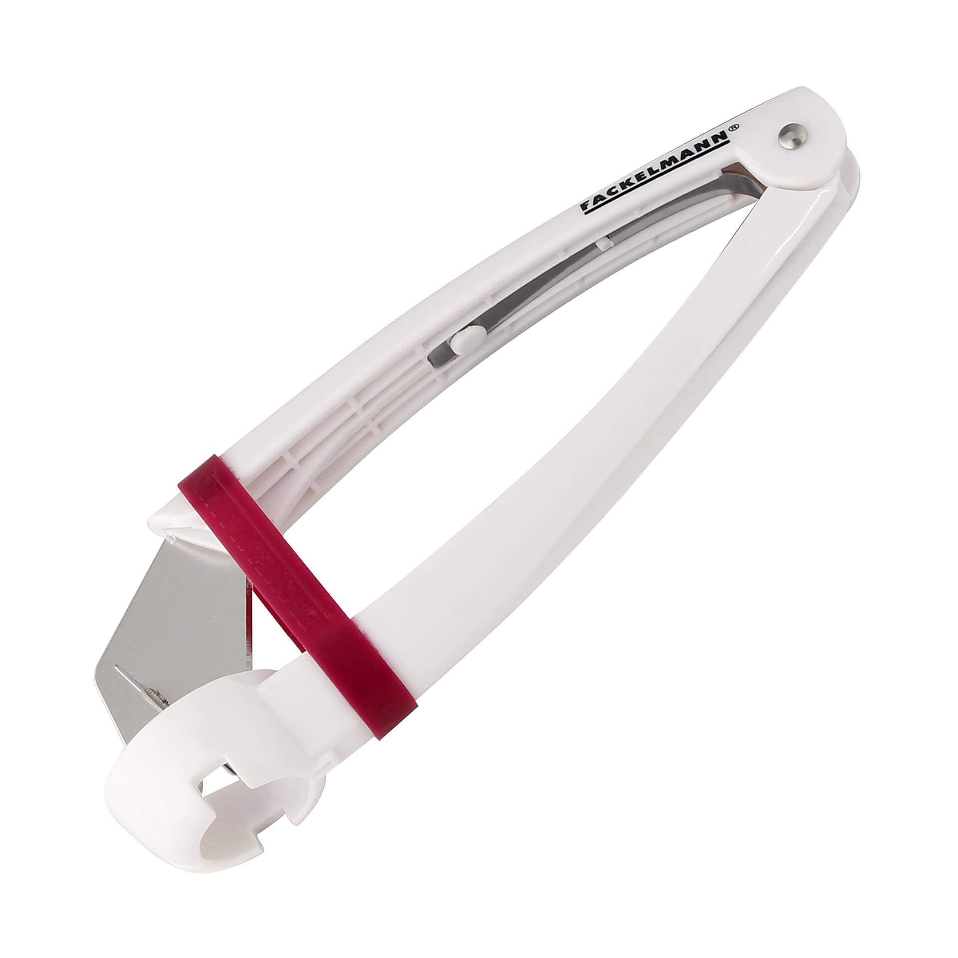 Zwetschgenentsteiner