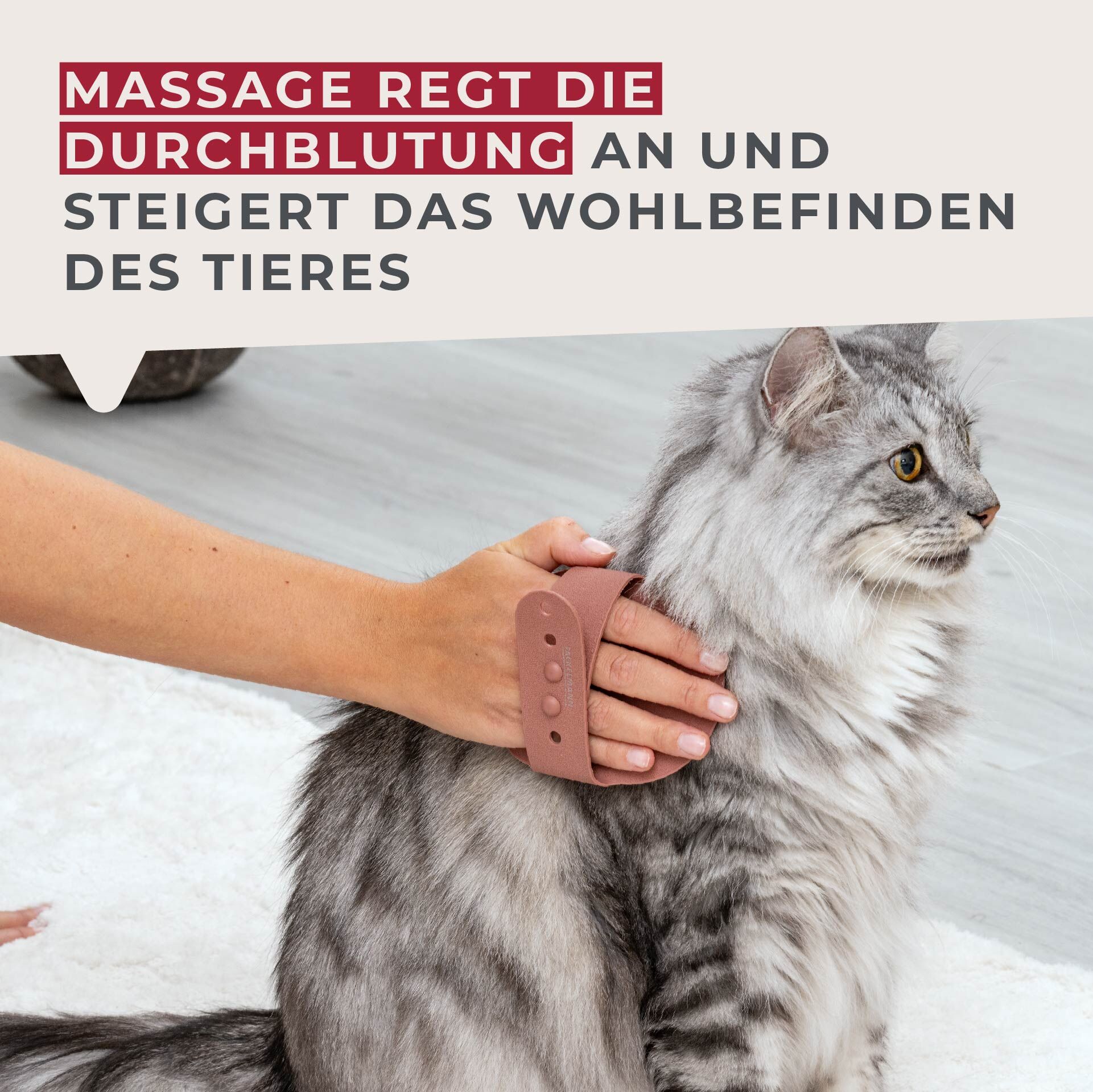Massagebürste Our Pets