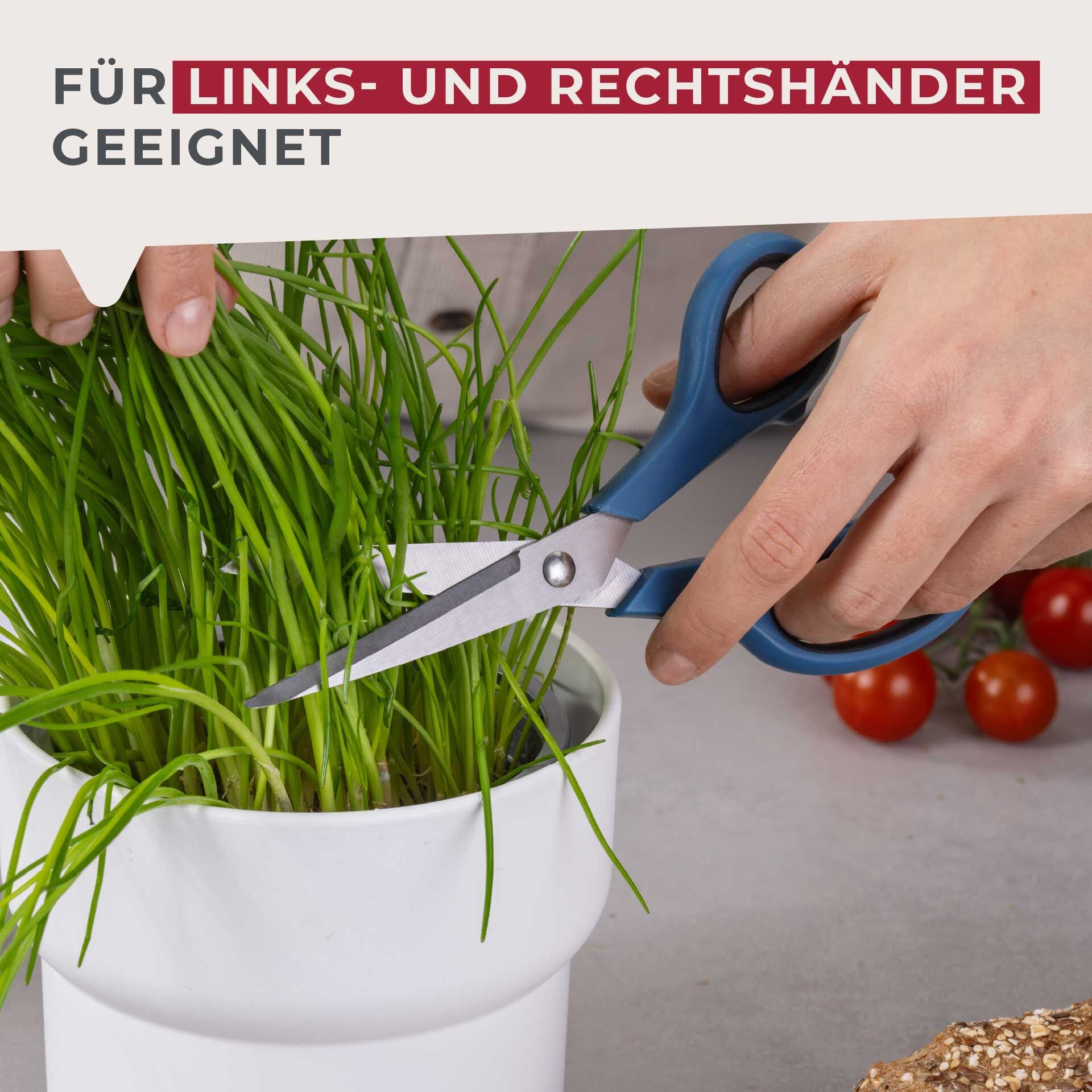 Schere Essential, 19cm, blau