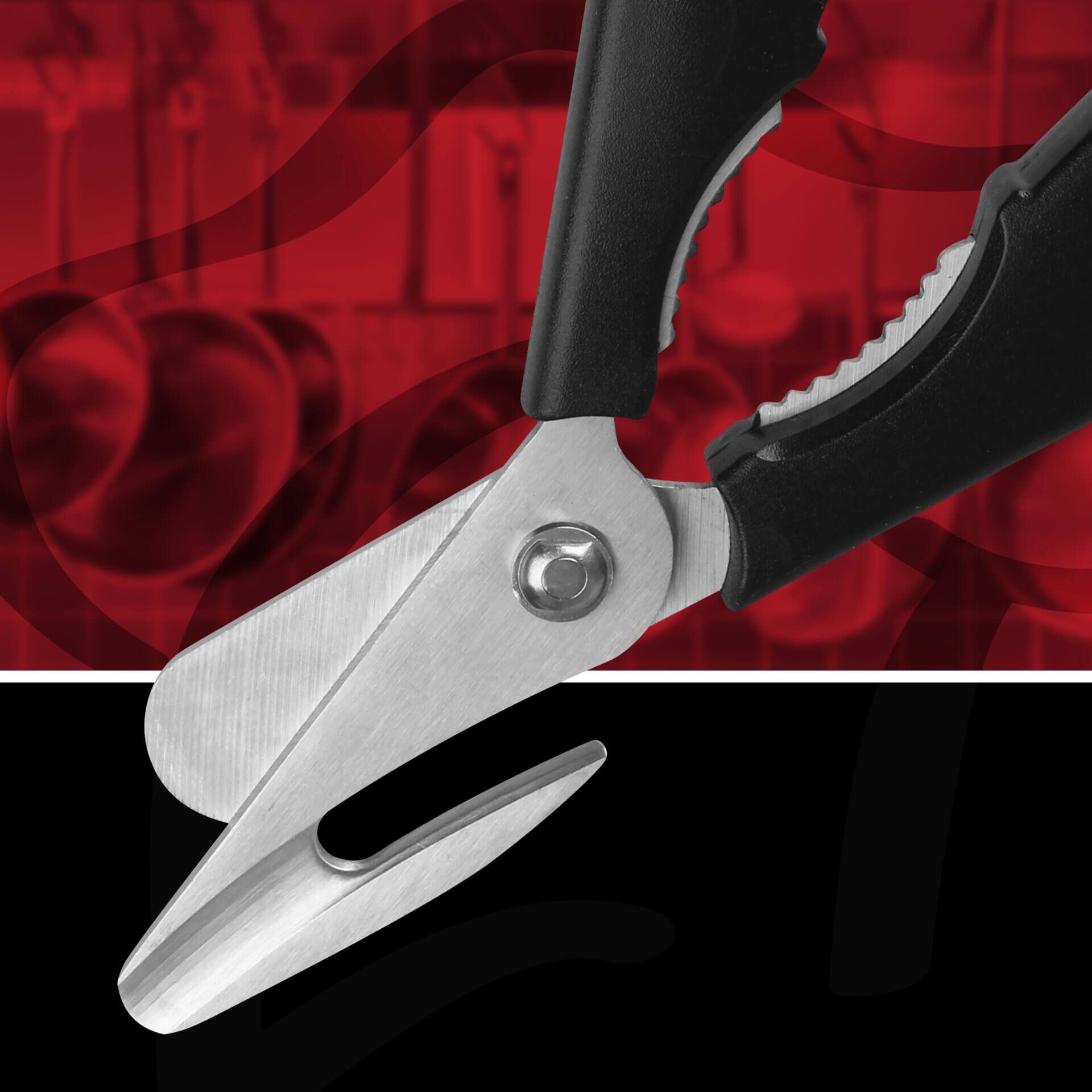 Schalentierschere, Edelstahl