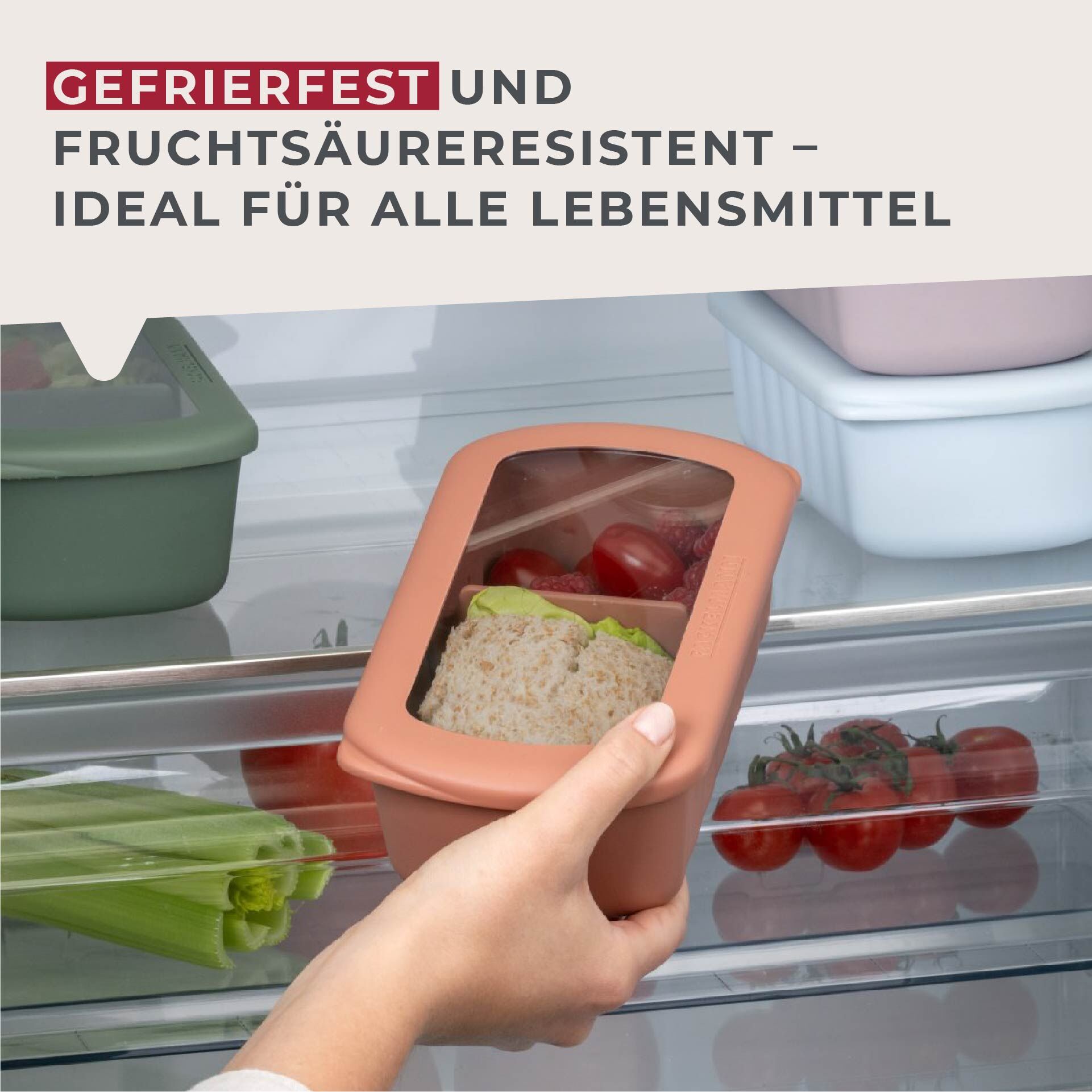 Flexibox Be The Move, rostrot, 1000ml, 3-tlg.