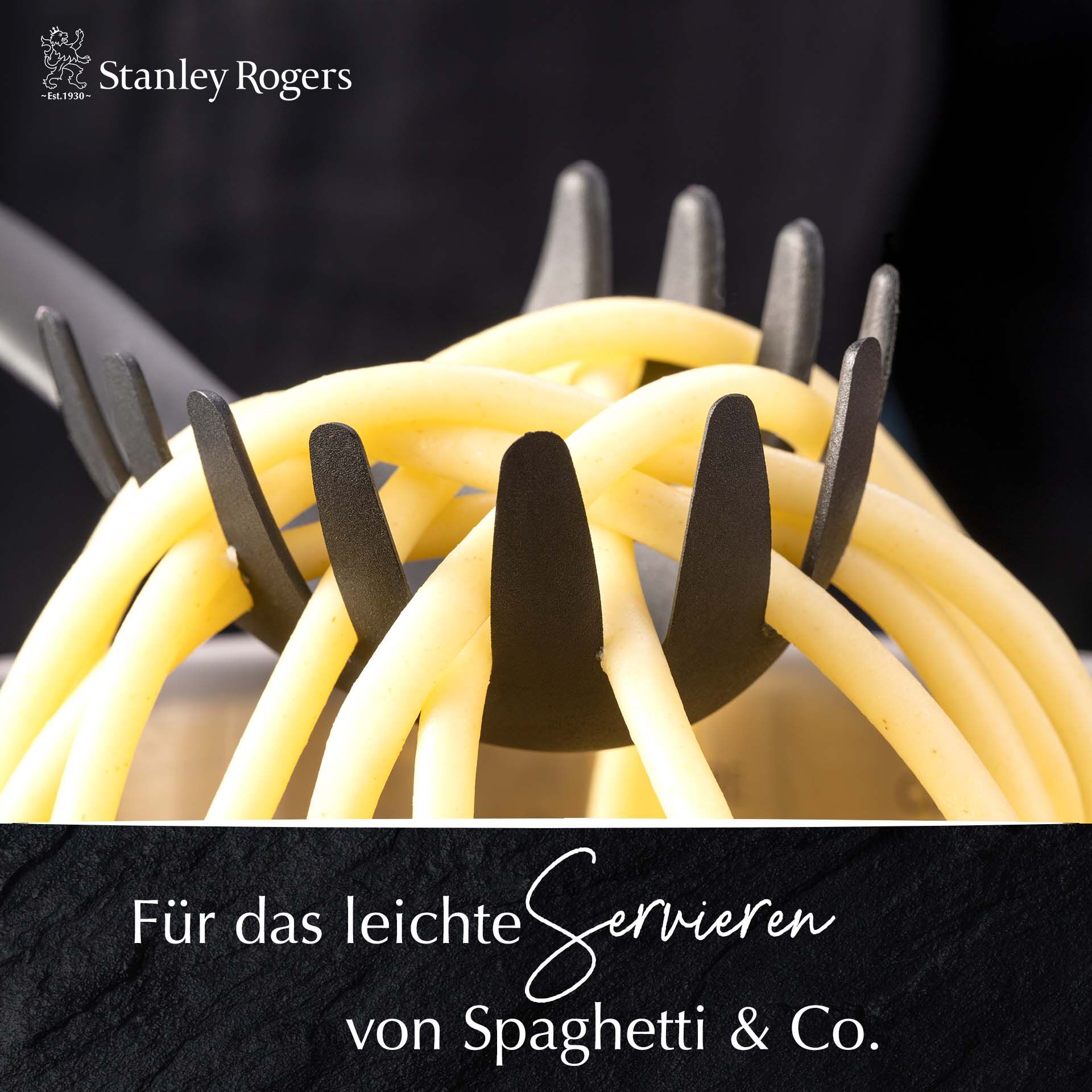 Spaghettilöffel Pride, 30cm