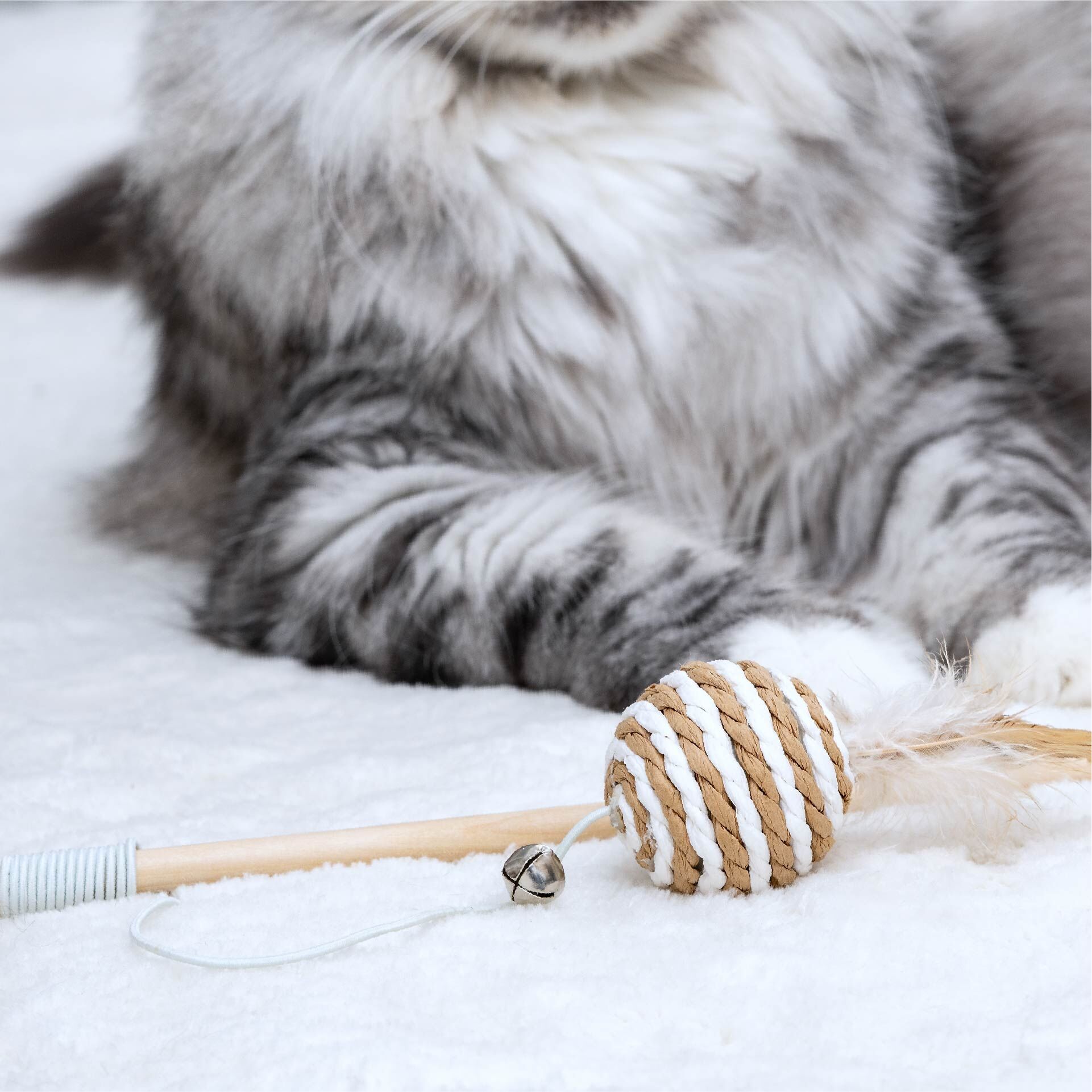 Spielzeugangel für Katzen Our Pets