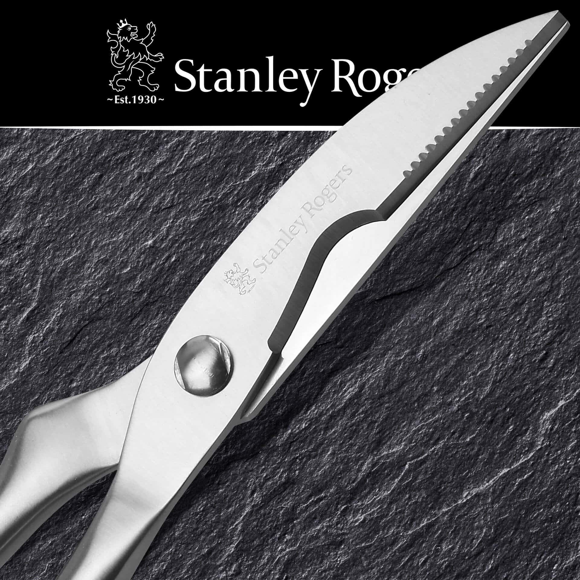 Geflügelschere, 25cm, Edelstahl