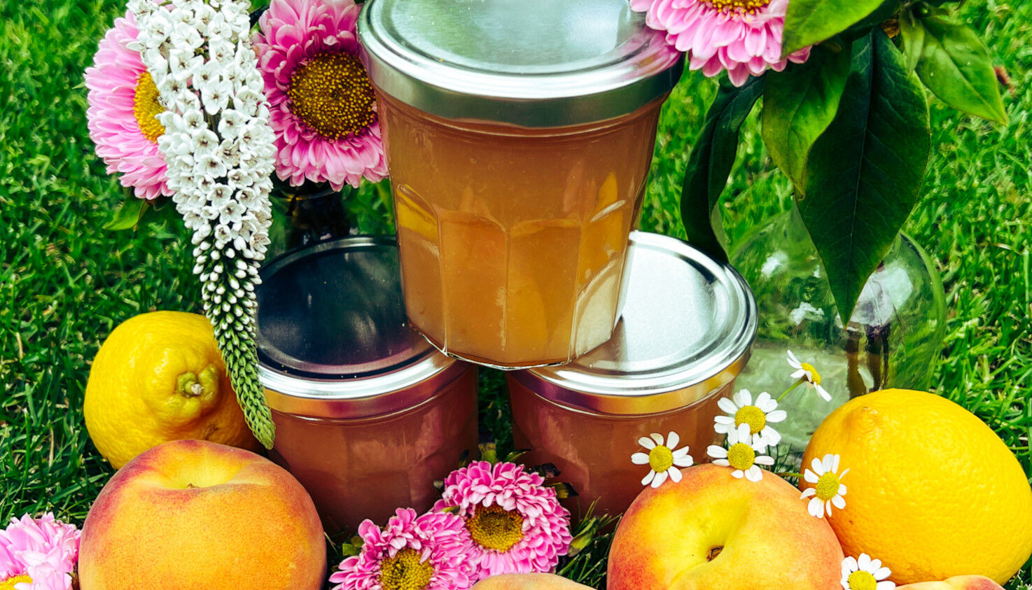 Pfirsichmarmelade Pfirsichmarmelade