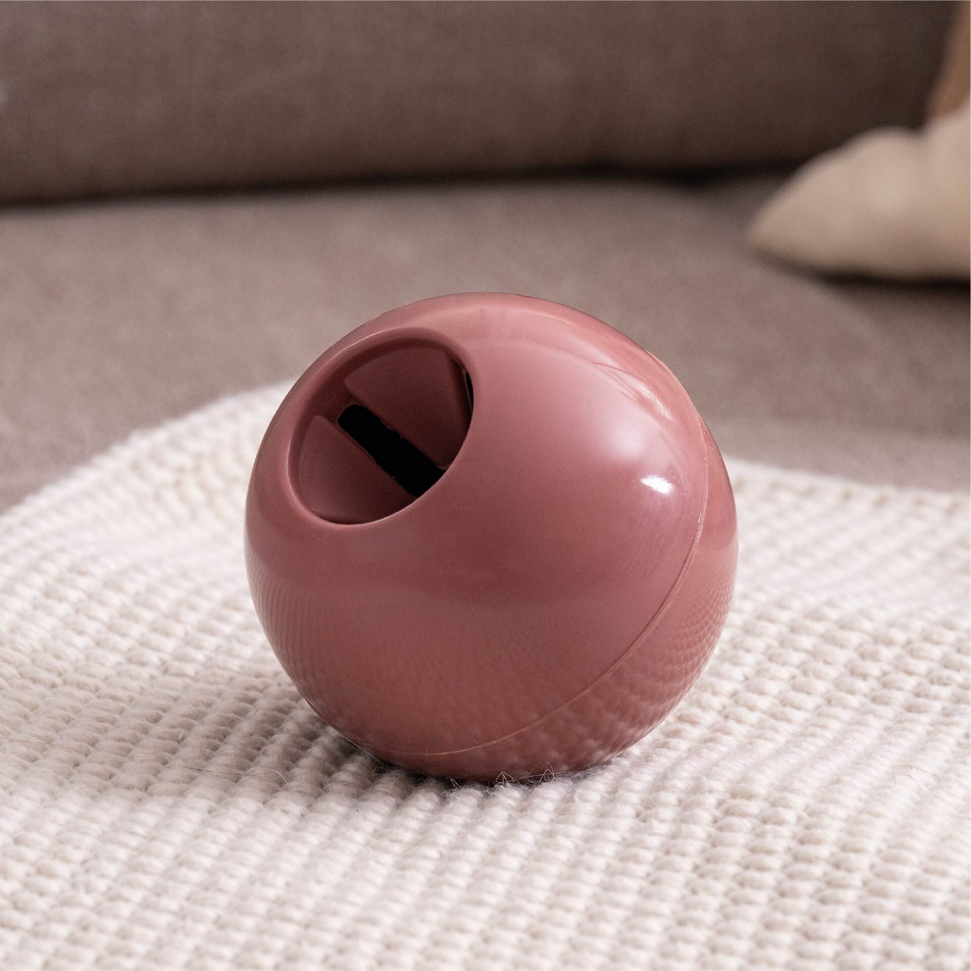 Snack-Ball Our Pets rot, groß