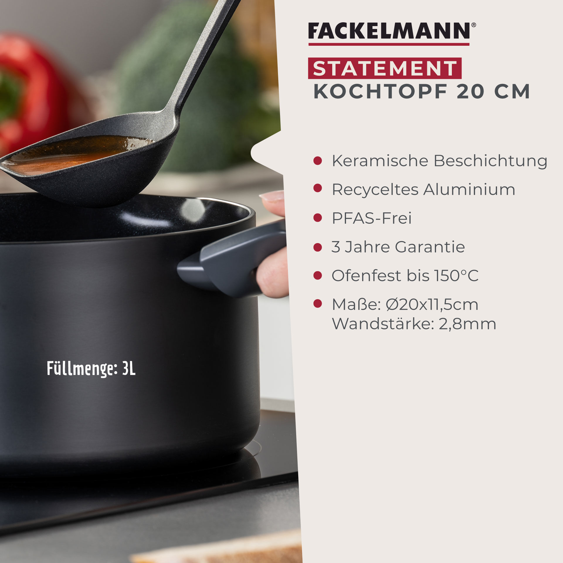 Kochtopf mit Deckel Statement, antihaft, Ø20cm