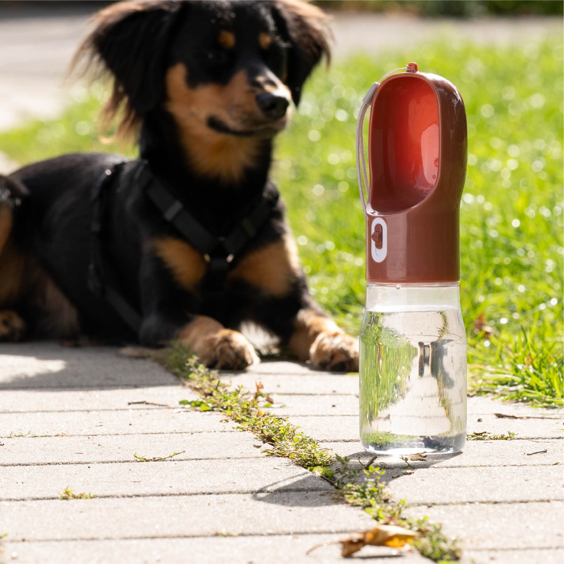 Hundetrinkflasche Our Pets