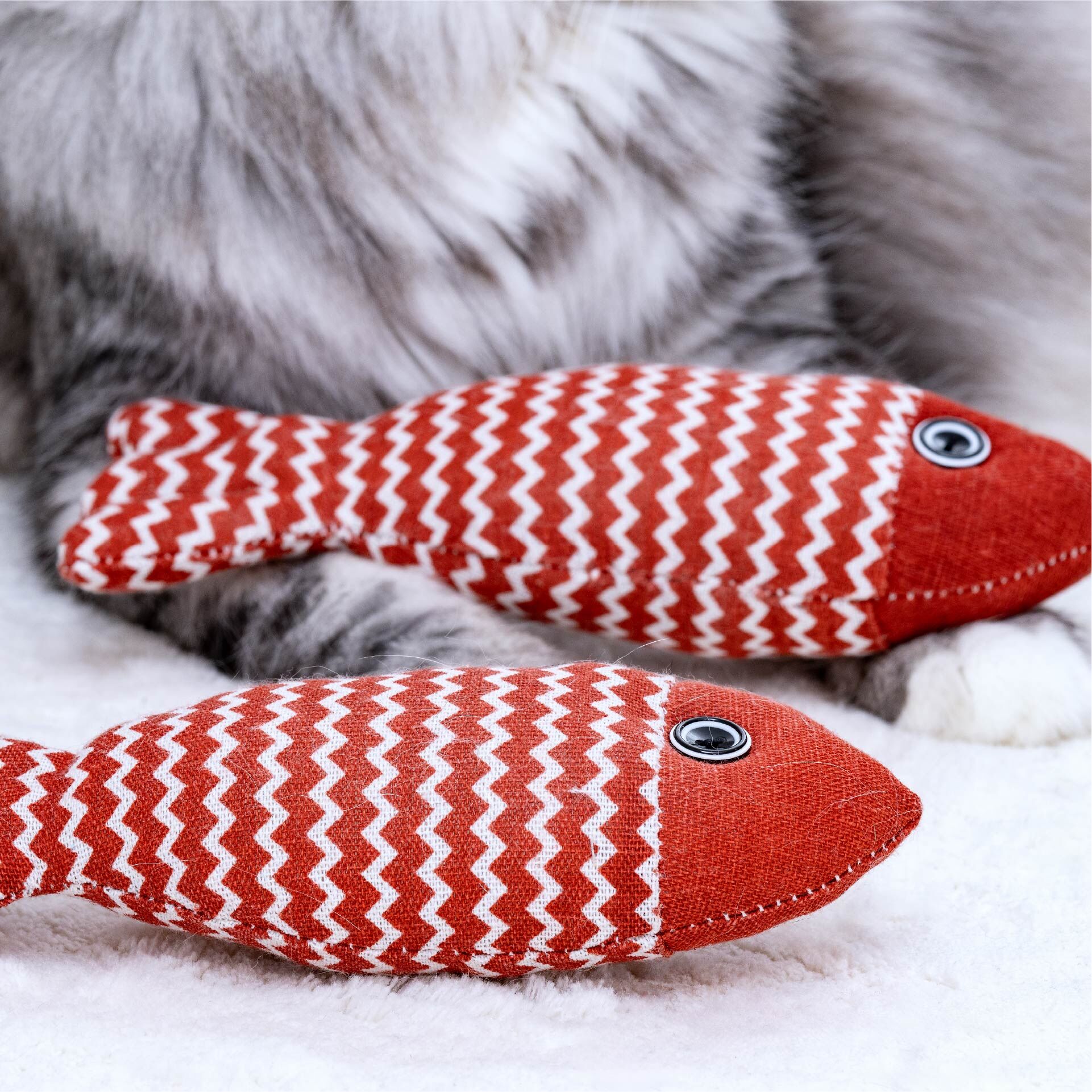 Katzenspielzeug Fisch Our Pets