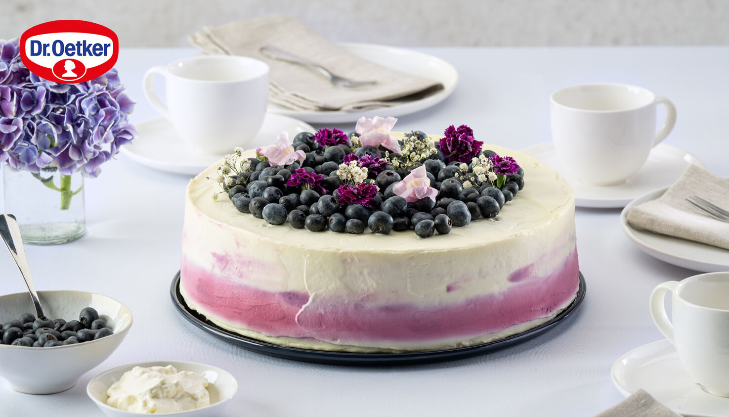 Heidelbeer-Joghurt-Torte Heidelbeer-Joghurt-Torte