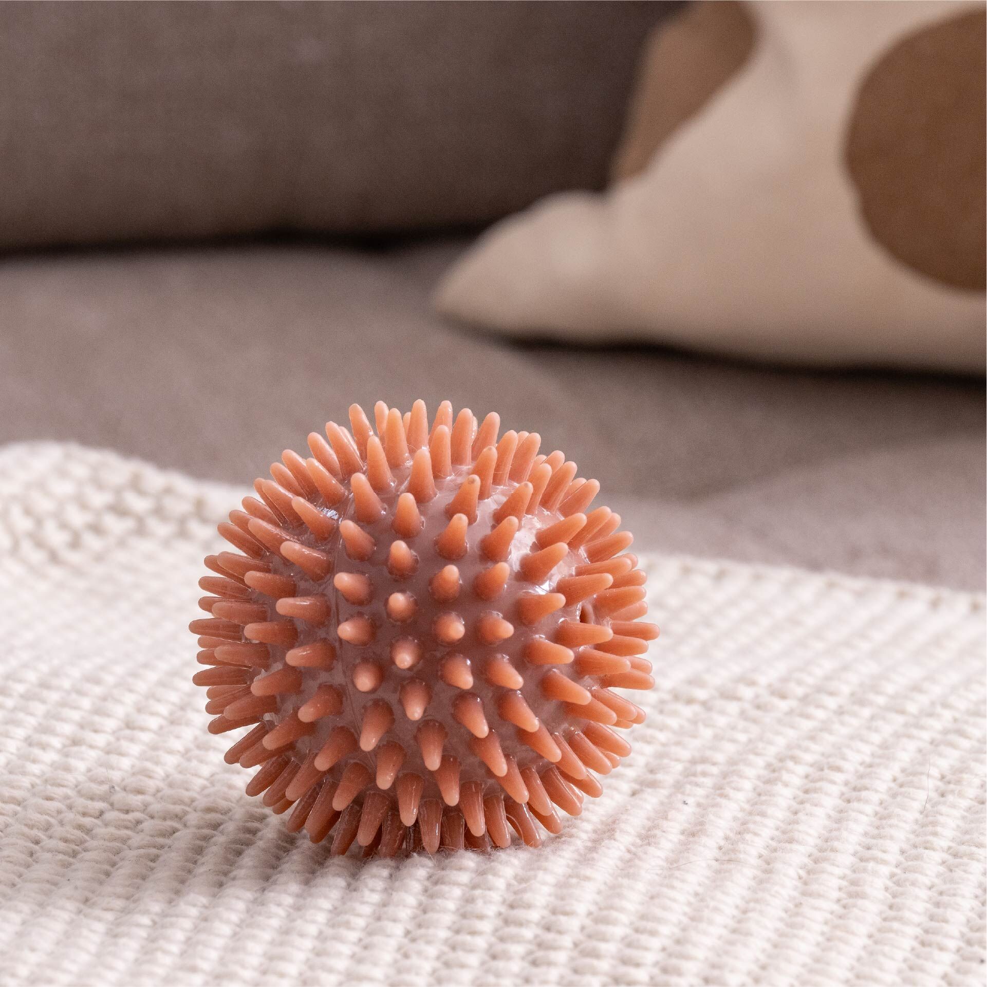 Hundespielzeug Ball Our Pets