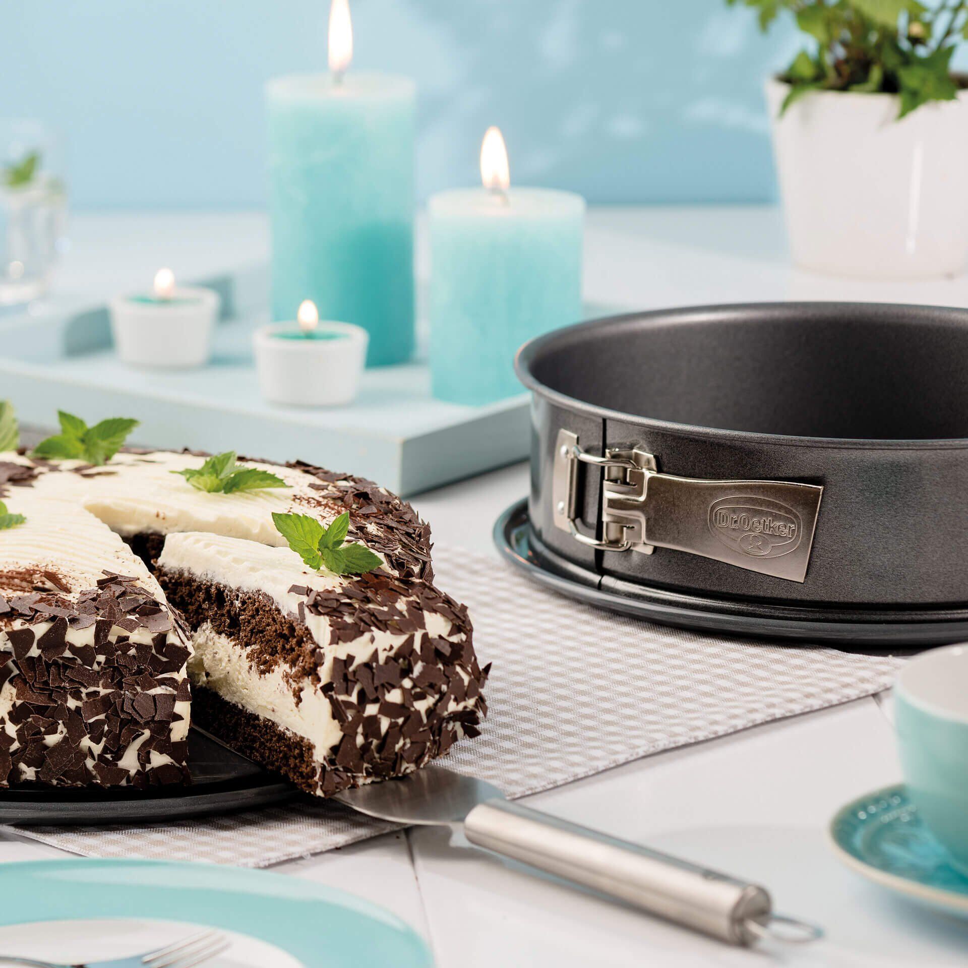 Springform mit Emaille Servierboden Back-Harmonie, Ø26cm