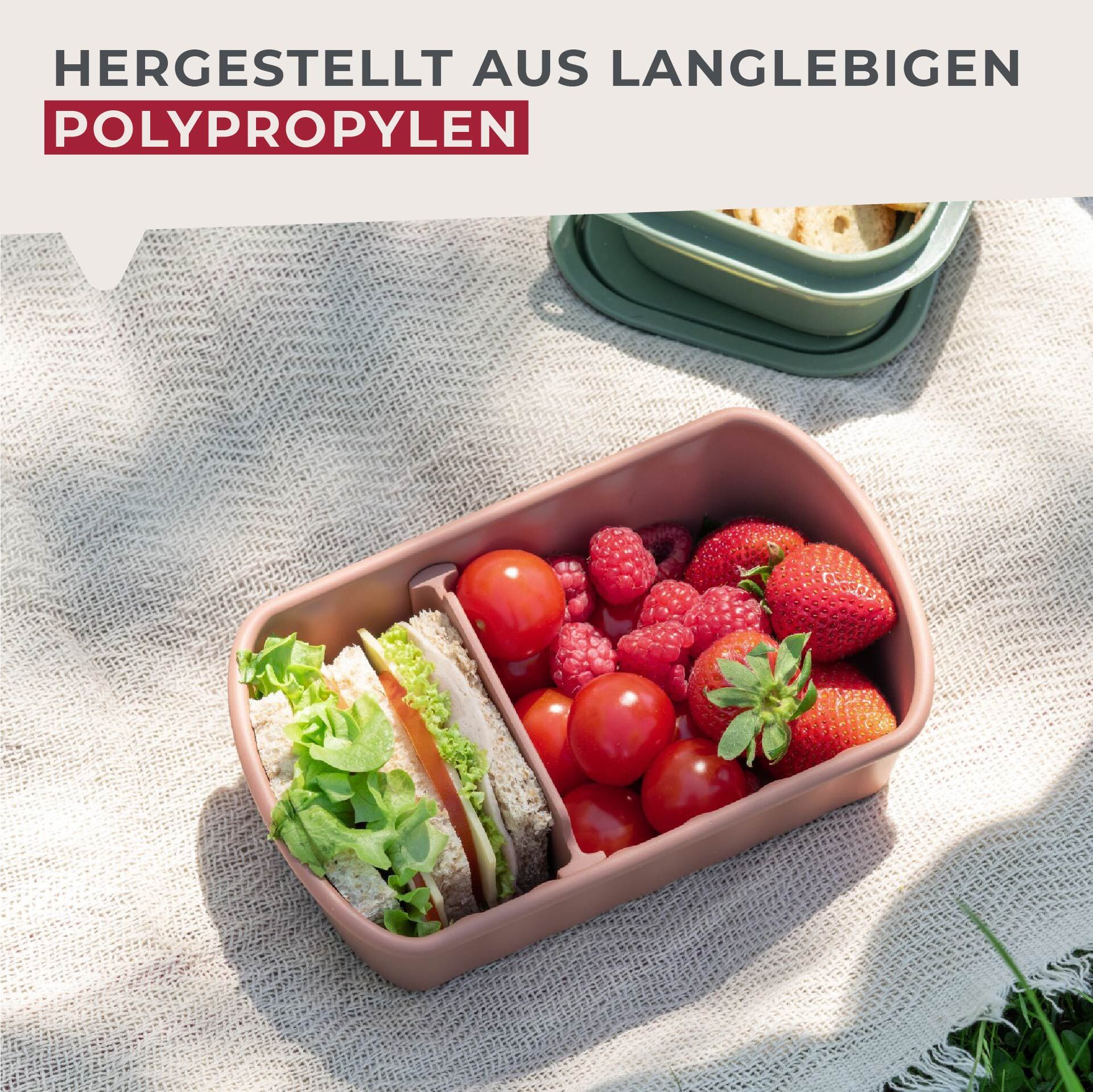 Flexibox Be The Move, rostrot, 1000ml, 3-tlg.