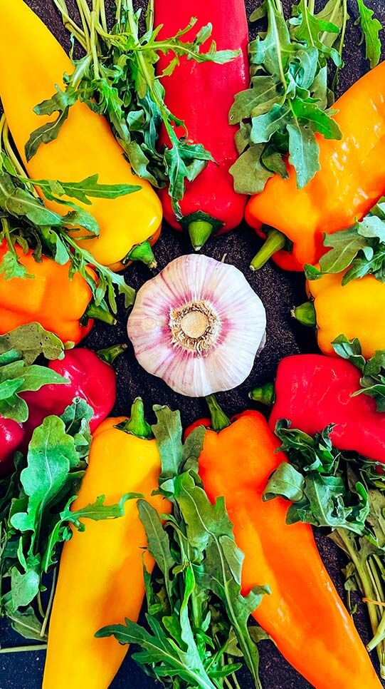 Halloumi mit dreierlei Paprika & Rucola