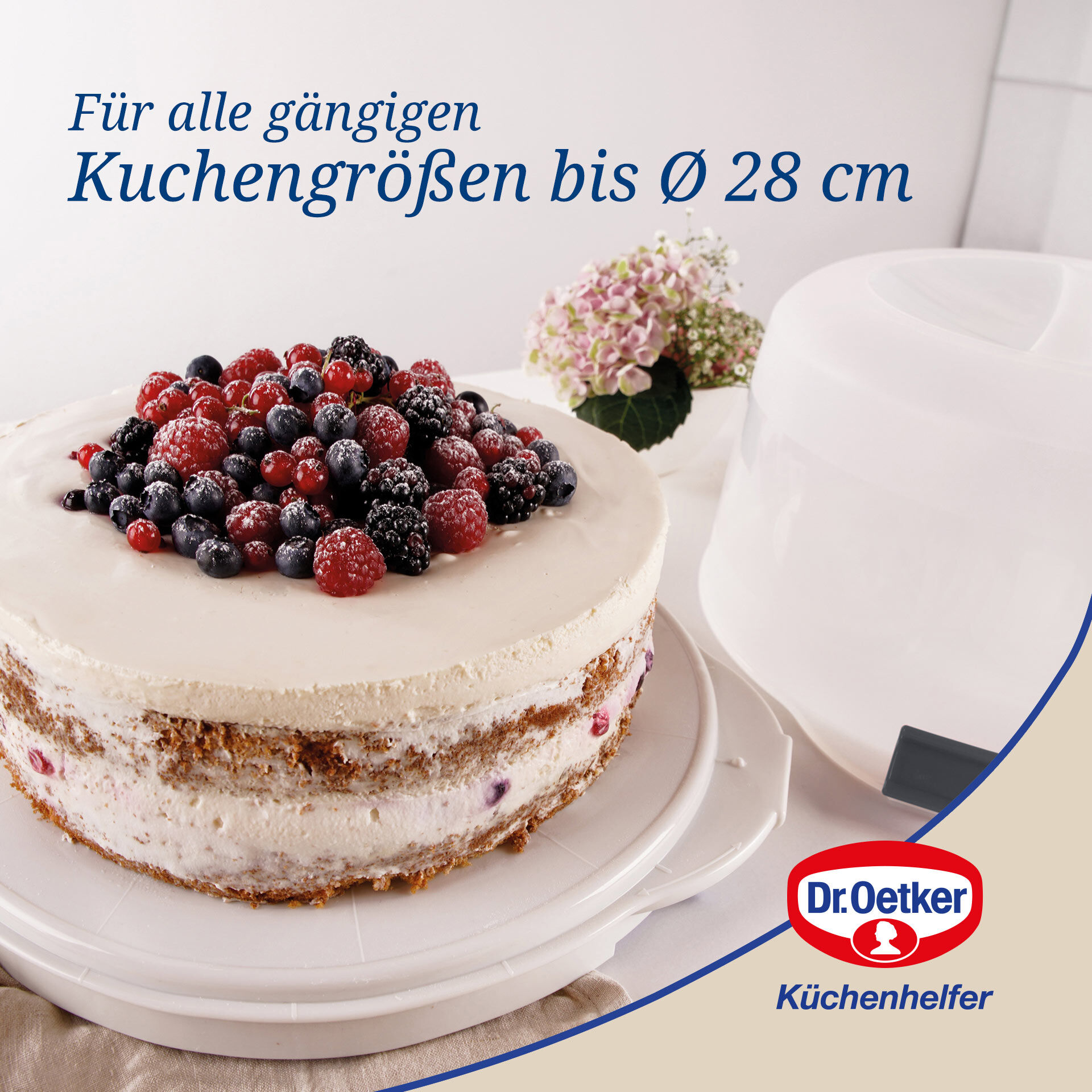 Kuchentransportbox Bake & Go, Ø38,5cm