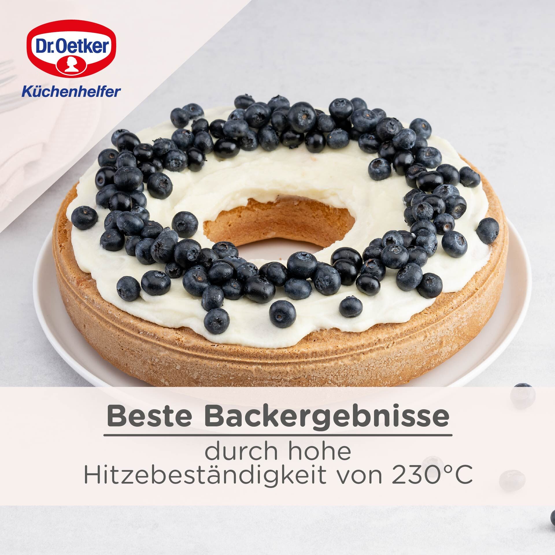 Springform mit Flach- und Rohrboden Classic, Ø26cm