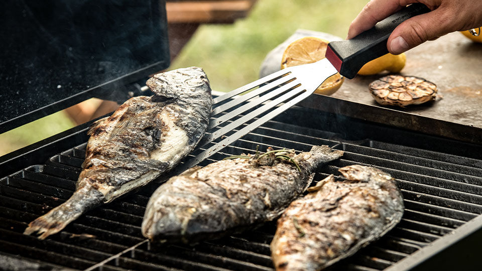Fisch Grillen mit dem Gasgrill: So geht’s richtig Fisch Grillen mit dem Gasgrill: So geht’s richtig