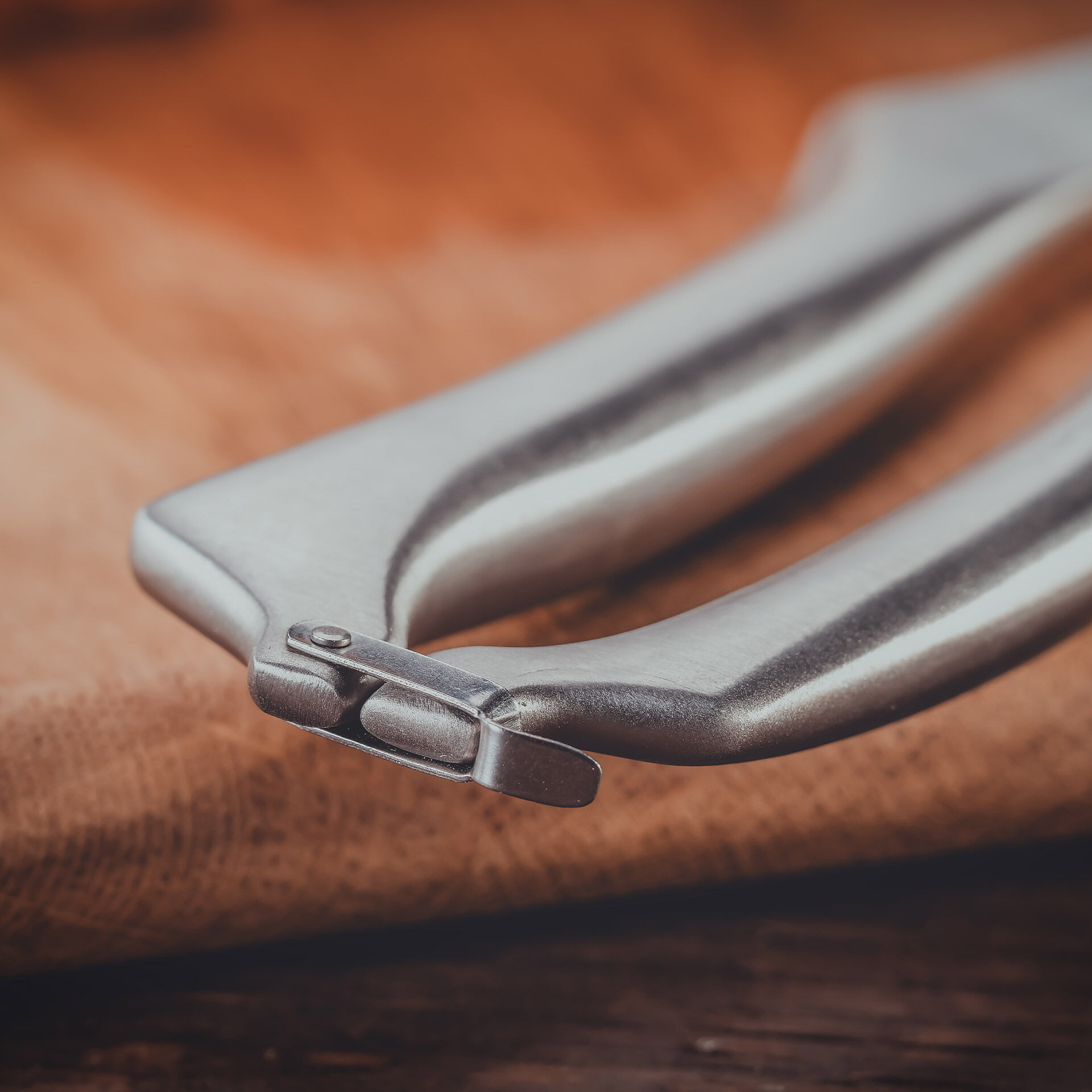 Geflügelschere, 25cm, Edelstahl